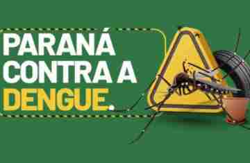 Paraná tem redução de casos e mortes por dengue maior do que a média nacional em 2025
